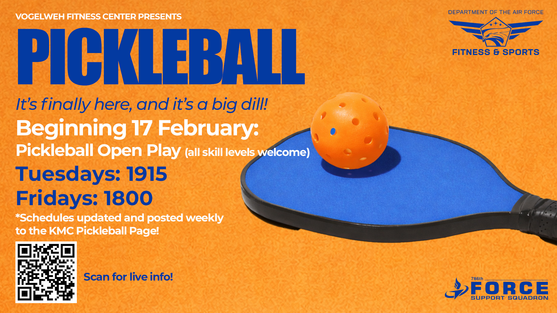 05_00_Slide_VFS_Pickleball (2)
