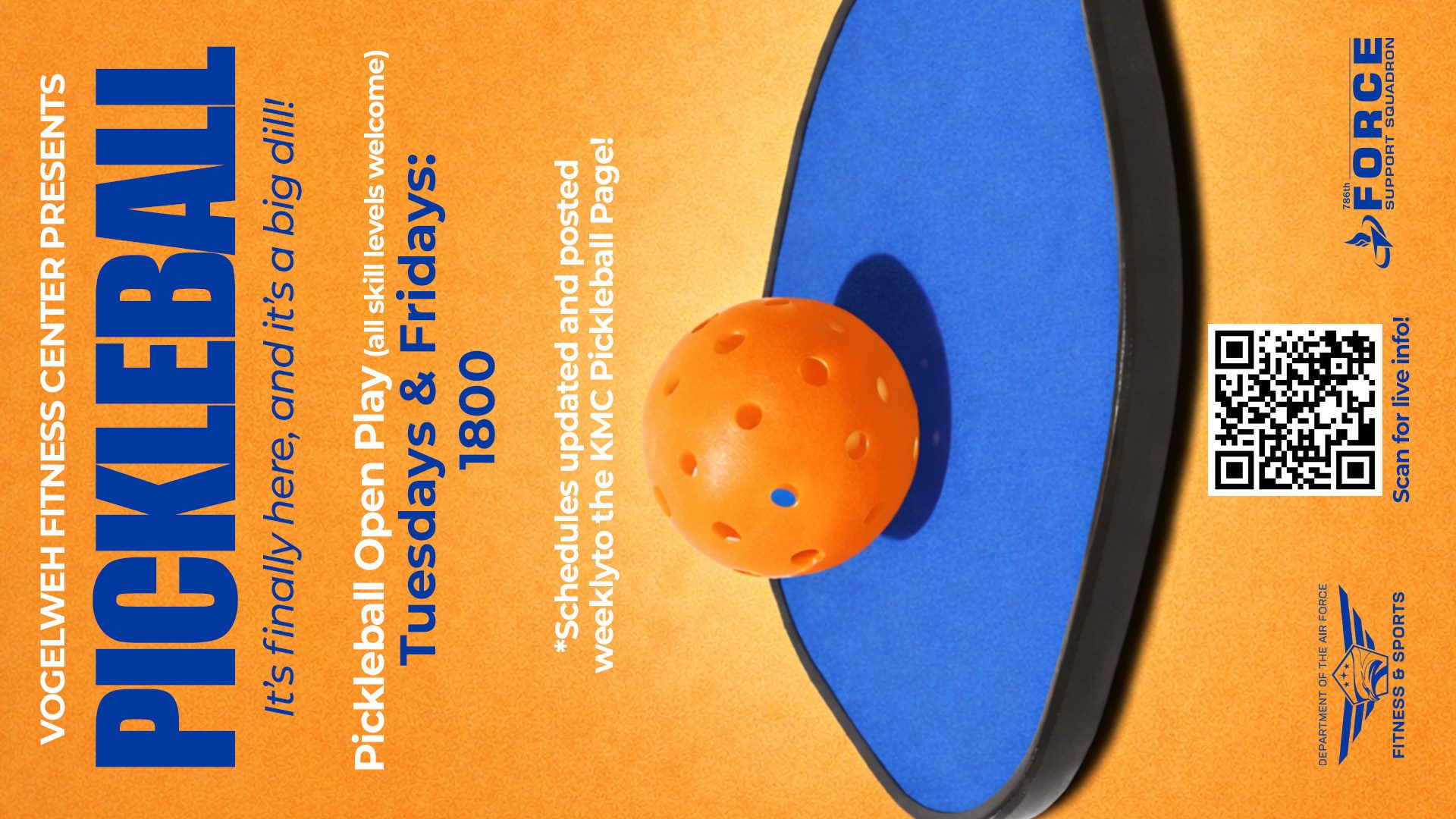 10_00_Vertical_VFS_Pickleball (3)